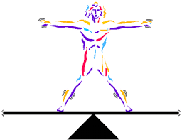 Image result for homeostasis