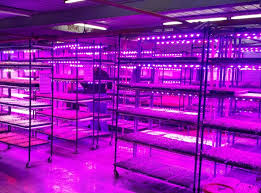 Hd Commercial Led Grow Lights