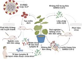 Ngày 2/5, anh có biểu hiện cảm cúm nên đã đi mua thuốc uống nhưng không khỏi. Trang Táº¡p Chi Kh Cn NÆ°á»›c Ngoai Thá»© Ba 05 01 2021 14 30 Nhá»¯ng á»©ng Dá»¥ng Tiá»m NÄƒng Cá»§a Cong Nghá»‡ Sinh Há»c Thá»±c Váº­t Trong Ä'á»'i Pho Vá»›i Sars Cov 2 Cac Quá»'c Gia Tren Tháº¿ Giá»›i Ä'ang Ná»— Lá»±c Phat Triá»ƒn Nhá»¯ng Sáº£n Pháº©m Thuá»'c Thá»­ Cháº©n Ä'oan Váº¯c Xin Va