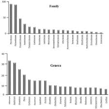 Image result for Menisorus pauciflorus