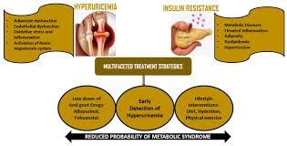 Image result for Hyperuricemia
