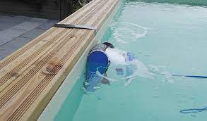 piscine bois quel robot nettoyeur pour piscine choisir cash piscines
