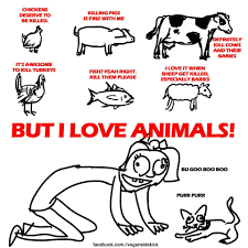 Vegan Sidekick Timeline Photos Facebook Vegan Quotes Vegan Humor Vegan Animals