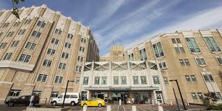(hey, they gotta eat too). A Seattle Hospital For Everyone Harborview Medical Center