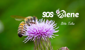 März stellt diesmal das thema niere und alter in den mittelpunkt. Frankreich Ist Das Erste Land Das Alle Pestizide Verbietet Die Bienen Toten