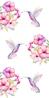 Tropical Birds And Flowers Casetify Iphone Art Design Animals Floral Watercolor Hummingbird Drawing Wallpaper Bird Wallpaper