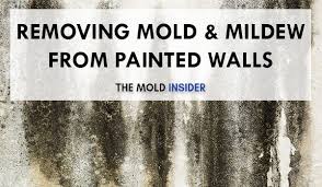 Jul 17, 2021 · how to remove mold from concrete blocks in basement. How To Remove Mold Mildew From Walls The Right Way The Mold Insider