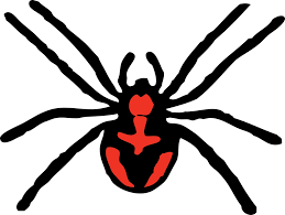Maybe you would like to learn more about one of these? Spider Creepy Arachnid Free Vector Graphic On Pixabay