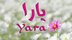 خلفيات مكتوب عليها اسم يارا صور اسم يارا Name Wallpaper Name Pictures Yara