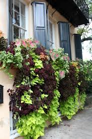 Brise Vue Balcon Et Deco En Plantes 29 Exemples Splendides Balkon Pflanzen Hangepflanzen Fensterkasten