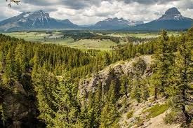 Municipality of Crowsnest Pass Mountains