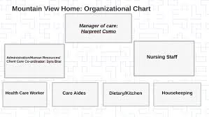 Mountain View Home Organizational Chart By Tanveer Cumo On