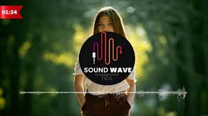 Arc North X Rival X Laura Brehm End Of Time Music Youtube Sound Waves