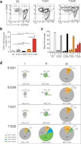 Flow Cytometric Analysis Of Brain Infiltrating Leukocytes