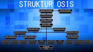 Pembina osis terdiri dari : Contoh Struktur Organisasi Osis Sekolah Youtube