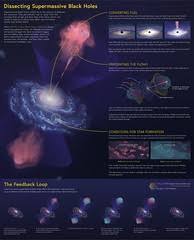 Meiosis definition biology is the haploid phase that starts during gamete formation and ends with the developmental biology is a biological science that is primarily concerned with how a living thing. Set Off Definition And Meaning