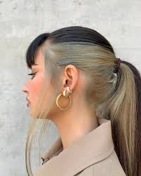 New Models Hair Color Underneath Aesthetic Hair Two Color Hair