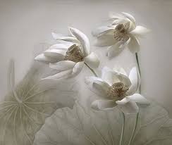 Sweetlysurreal Liu Yifei Wikipedia Com Flowers White Flowers Flowers Photography
