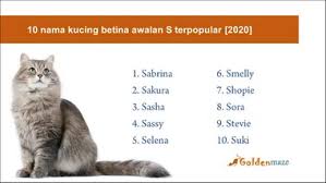 Nov 16, 2020 · nama kucing dalam bahasa arab juga kerap bertujuan agar memberikan doa kepada pemiliknya. 491 Ide Nama Kucing Awalan S Top Trending 2021 Goldenmaze