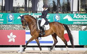 Unlock your true potential as a dressage athlete. Us Born Female Rider Clears Latest Hurdle Toward Representing Israel In Tokyo The Times Of Israel
