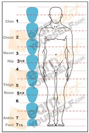 Stylized male body anatomy chart: How To Draw Human Anatomy Learn That Yourself