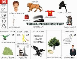 Erek Erek 2d Di 2020 Buku Tafsir Mimpi Buku Gambar