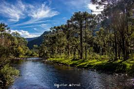 Urubici is part of the são joaquim national park, which is very rich in flora and fauna. Wikiloc Picture Of Canion Espraiado Urubici Sc Subida 5 6