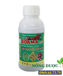 Bopy 14EC