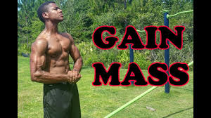 build muscle with calisthenics