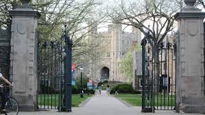 Image result for princeton university