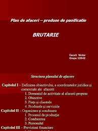 Fiecare firma are propriile ei nevoi de planificare. Plan De Afacere Brutarie