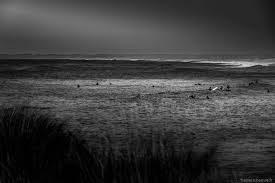 En Attendant La Vague Vague Surfeur Mer Et Ocean