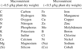 The micro in micronutrients refers to the amount your body needs (you need these in smaller amounts compared to macronutrients). Classification Of Macro And Micronutrients Download Table