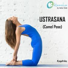 Camel pose or ustrasana helps in adding flexibility and strength to the body. Pin On Yoga