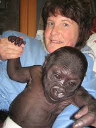 As a zoological veterinary technician, you may also enjoy such benefits as health and dental insurance, paid sick days, paid vacations, zoo/aquarium discounts and a uniform allowance. Veterinary Technicians Opportunities But At What Cost News Vin