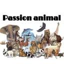 Passion Animal (@passion_animal) / X
