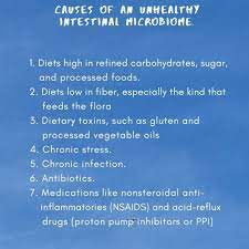 Microbes Chronic Stress Microbiome Processed Food