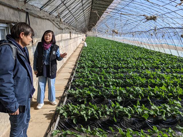 DCZ visits organic farm in Changping – DCZ – Sino-German Agricultural Centre