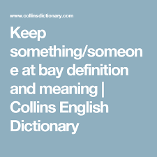 Keep Something Someone At Bay Definition And Meaning Collins English Dictionary Collins English Dictionary English Dictionaries Meant To Be