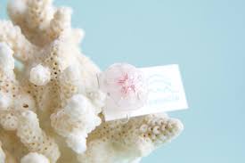 「カシパン」の画像検索結果