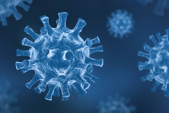 Corona Virus - Shaahid Scans | Best Scans in Chennai
