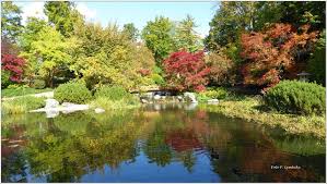 Wunderschone Herbstfarben Im Japanischen Garten Dobling