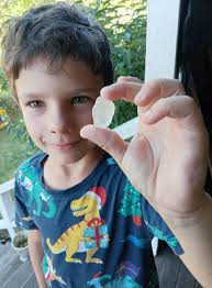 Fossicking for Topaz and Smokies in Stanthorpe and Granite Belt