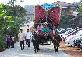 We did not find results for: Kereta Lembu Untuk Di Sewa Postingan Facebook