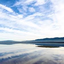 The trail segments nearest the park tend to be the busiest, but once you get out past a few miles you are generally on your own. Alviso Marina County Park 1241 Photos 170 Reviews Parks 1195 Hope St Alviso Ca Phone Number