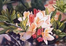 Azalea In Gold Tones By Sharon Freeman Alaska Art Watercolor Flowers Botanical Painting