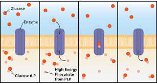 1 kilojoule (kj) = 1000 joules. 11 Microbial Nutrition Biology Libretexts