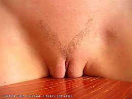 Here we post clips, pictures, and anything relevant to stpeach. Fetish Close Up Pussy And Ass And Camel Toe Huge Pics 1 Camel