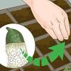 The foliage is very dense and the very small leaves can also be used in the kitchen. Https Encrypted Tbn0 Gstatic Com Images Q Tbn And9gctddznktbej5ktsdaothphnes52vbcnrsrqacbxozq1qhuqsxgp Usqp Cau