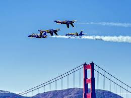 Image result for Blue 2018 Fleet